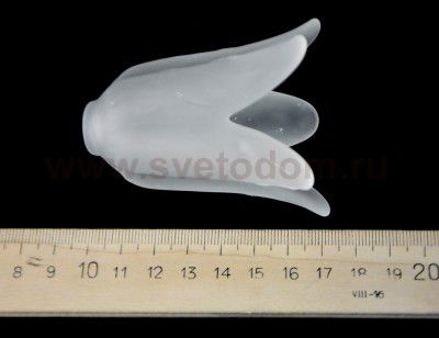 Люстра Colosseo 70408/12C Cristina