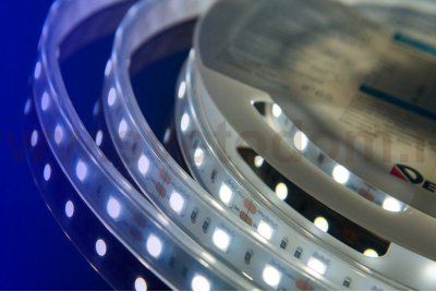 Лента светодиодная DesignLed DSG560 DesignLed DSG560-12-W-65