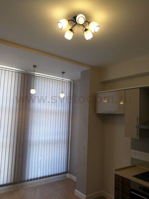 Светильник подвесной Odeon light 1343/W ERUCA