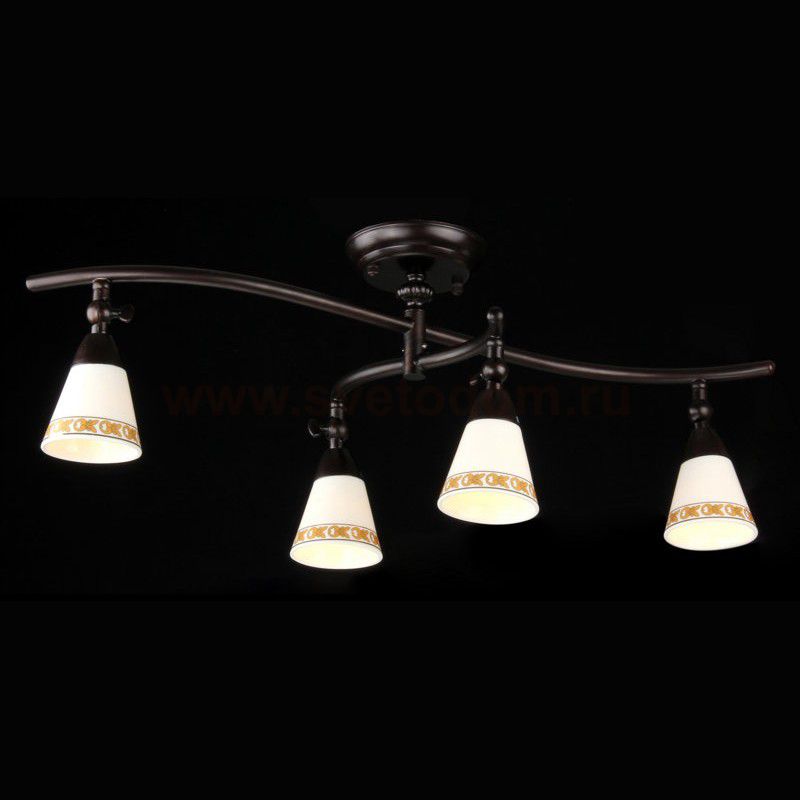 Люстра Maytoni ECO001-04-R Spot 1