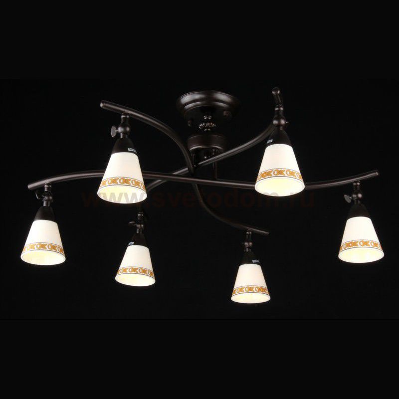 Люстра Maytoni ECO001-06-R Spot 1