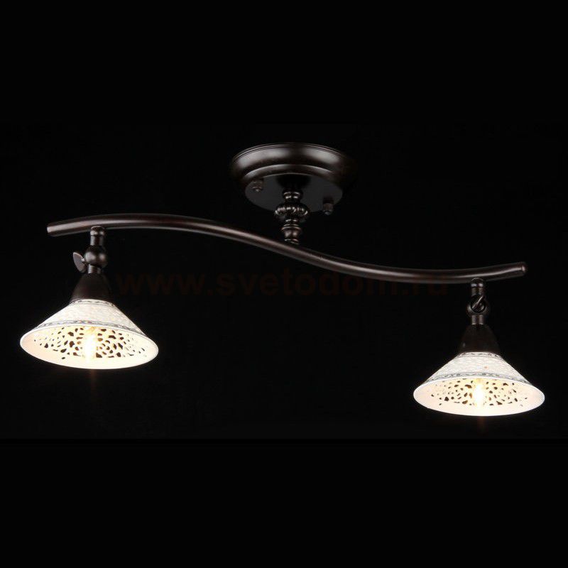 Светильник поворотный спот Maytoni ECO002-02-R Spot 2 Spot 2