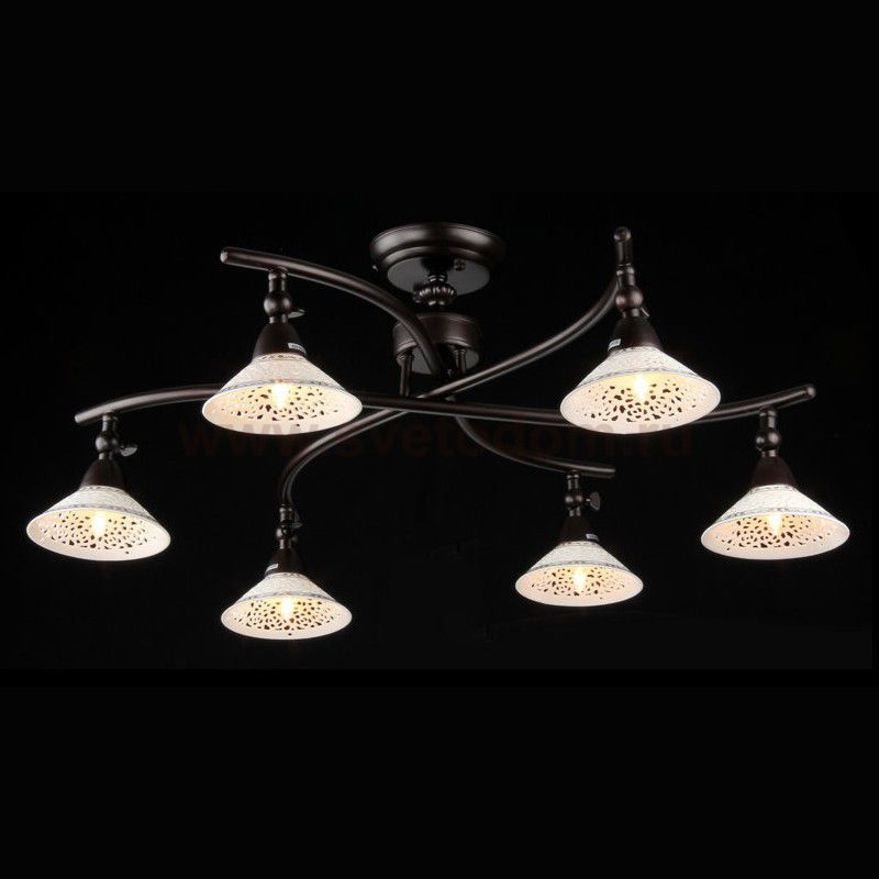 Люстра Maytoni ECO002-06-R Spot 2