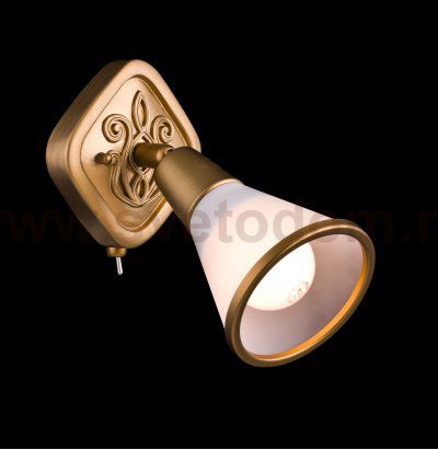 Светильник поворотный спот Maytoni ECO008-01-G Luther