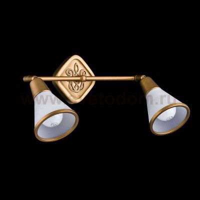 Светильник поворотный спот Maytoni ECO008-02-G Luther