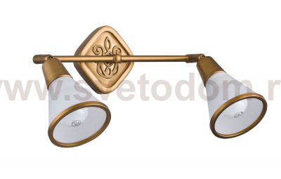 Светильник поворотный спот Maytoni ECO008-02-G Luther