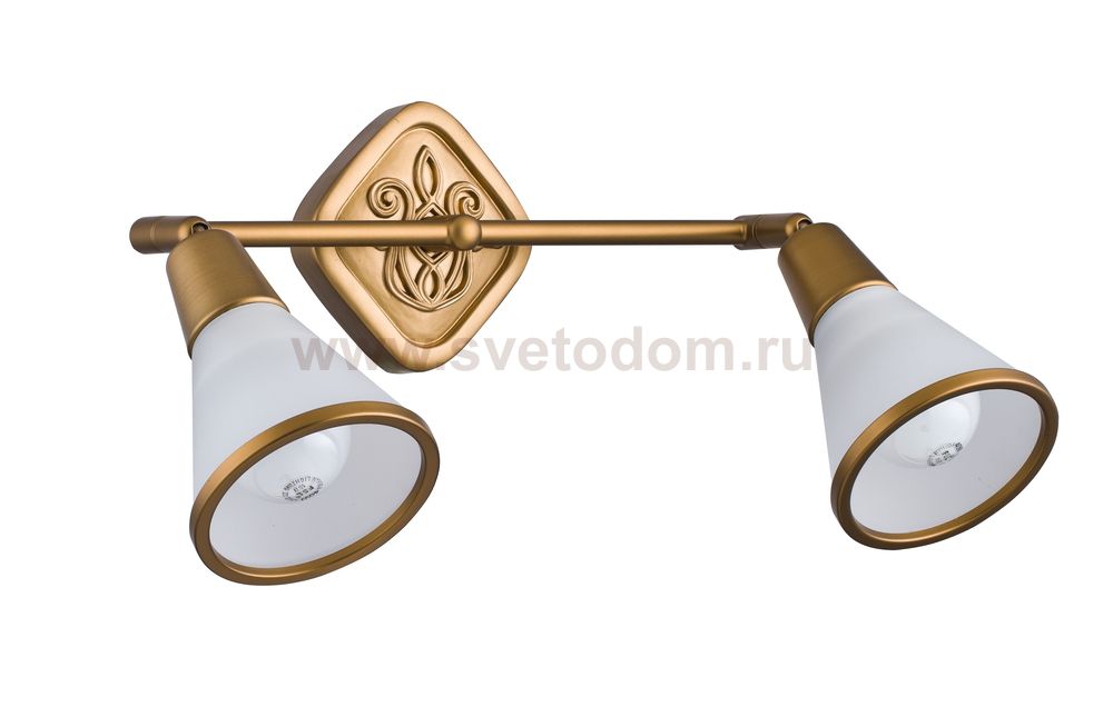 Светильник поворотный спот Maytoni ECO008-02-G Luther