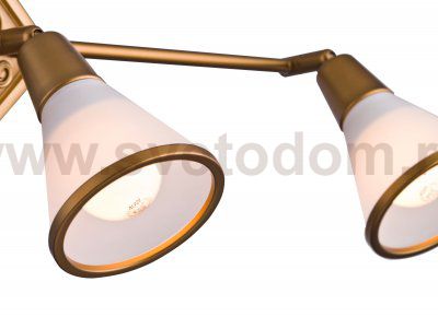 Светильник поворотный спот Maytoni ECO008-03-G Luther