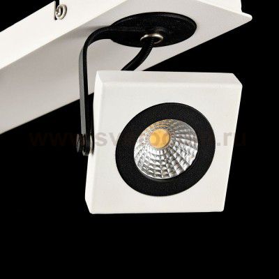 Спот Maytoni SP162-CW-02-W Magnetar 2