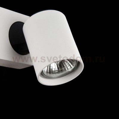 Спот Maytoni ECO317-01-W Alliot