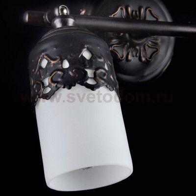 Светильник поворотный спот Maytoni ECO562-02-R Renda Renda