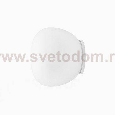 Настенный/Потолочный светильник Fabbian F07G0101