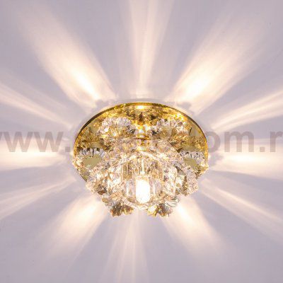 Точечный светильник Экономсвет F3832 TEA CL