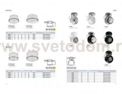 Светильник точечный накладной Lightstar 110588 Fabi