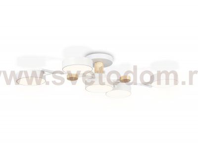 Подвесной светодиодный светильник с пультом Ambrella FL4834 FL