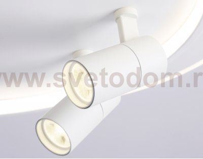 Настенно-потолочный светодиодный светильник с пультом Ambrella FL51391 FL