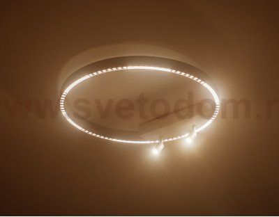 Потолочный светодиодный светильник Ambrella FL5807 FL