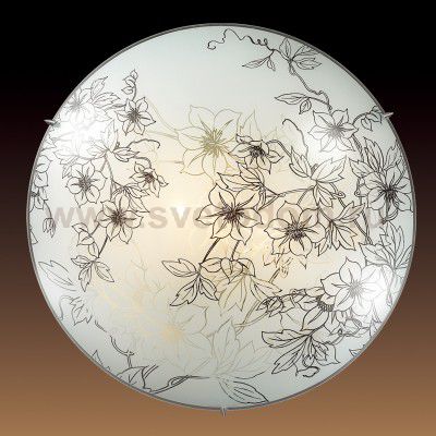 Настенно-потолочный светильник Сонекс FORTI 2211