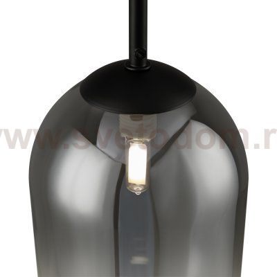 Подвесной светильник Freya FR1011PL-01B2 Tesse