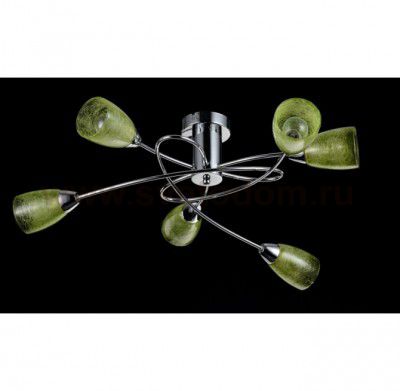 Потолочный светильник Freya FR103-06-GN Flash