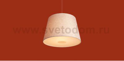 Подвесной светильник Freya FR2057PL-01BG