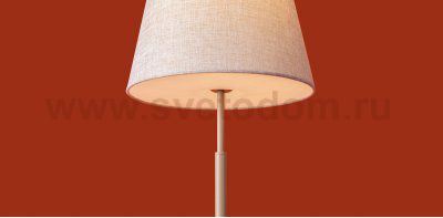 Настольный светильник Freya FR2057TL-01BG