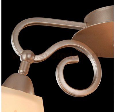 Потолочный светильник Freya FR2062-PL-03-G Silvana