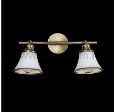 Светильник поворотный спот Freya FR2272-CW-02-BS Jasinta