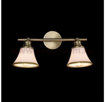 Светильник поворотный спот Freya FR2272-CW-02-BS Jasinta