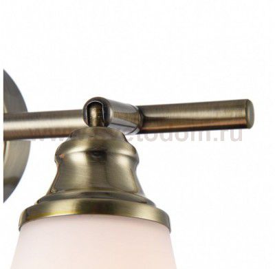 Светильник поворотный спот Freya FR2272-CW-02-BS Jasinta