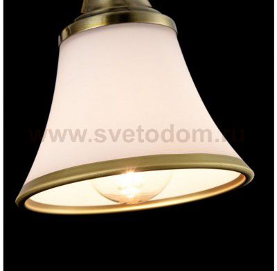 Светильник поворотный спот Freya FR2272-CW-02-BS Jasinta