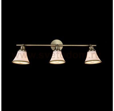 Светильник поворотный спот Freya FR2272-CW-03-BS Jasinta