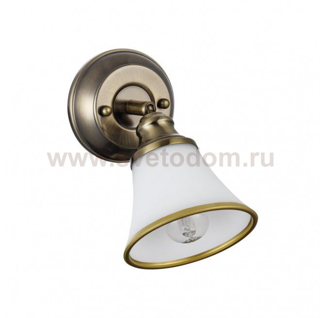 Светильник поворотный спот Freya FR2272-WL-01-BS Jasinta