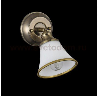 Светильник поворотный спот Freya FR2272-WL-01-BS Jasinta