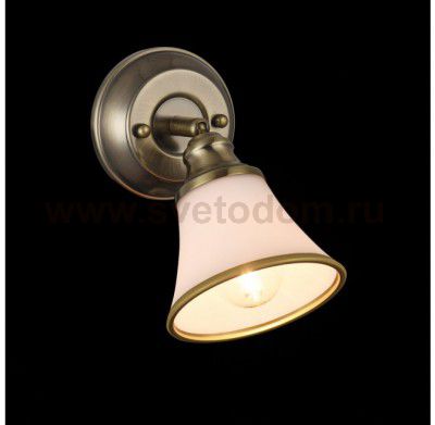 Светильник поворотный спот Freya FR2272-WL-01-BS Jasinta