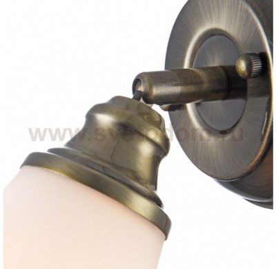 Светильник поворотный спот Freya FR2272-WL-01-BS Jasinta