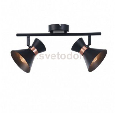 Светильник поворотный спот Freya FR4273-CW-02-B Izzy