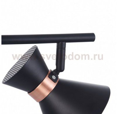 Светильник поворотный спот Freya FR4273-CW-02-B Izzy