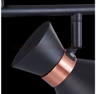 Светильник поворотный спот Freya FR4273-CW-02-B Izzy