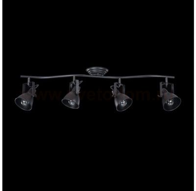 Светильник поворотный спот Freya FR4276-CW-04-B Ibbi