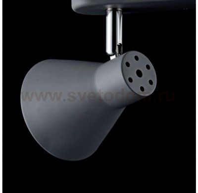 Настенно-потолочный светильник Freya FR4308-CW-02-GR Claris