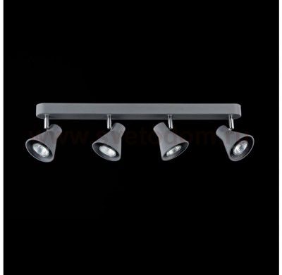 Настенно-потолочный светильник Freya FR4308-CW-04-GR Claris