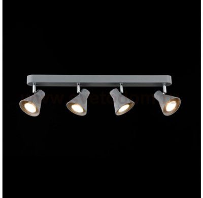 Настенно-потолочный светильник Freya FR4308-CW-04-GR Claris