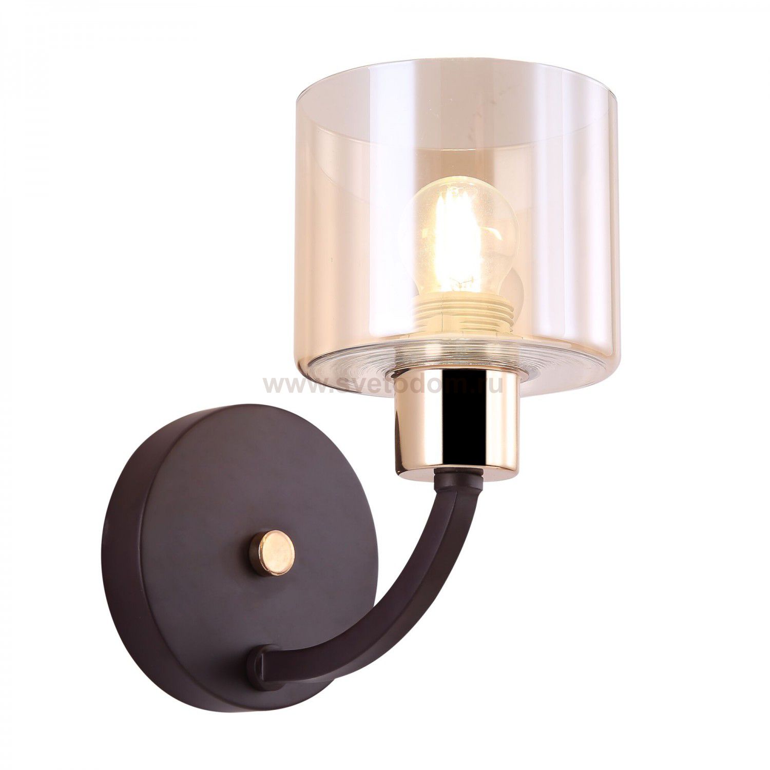 Настенный светильник бра Freya FR5003WL-01B Teodora