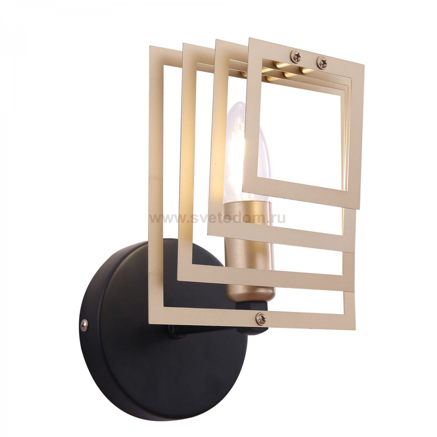 Настенный светильник бра Freya FR5005WL-01B Fabiana