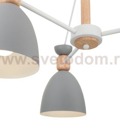 Потолочный светильник Freya FR5033CL-05W Delia