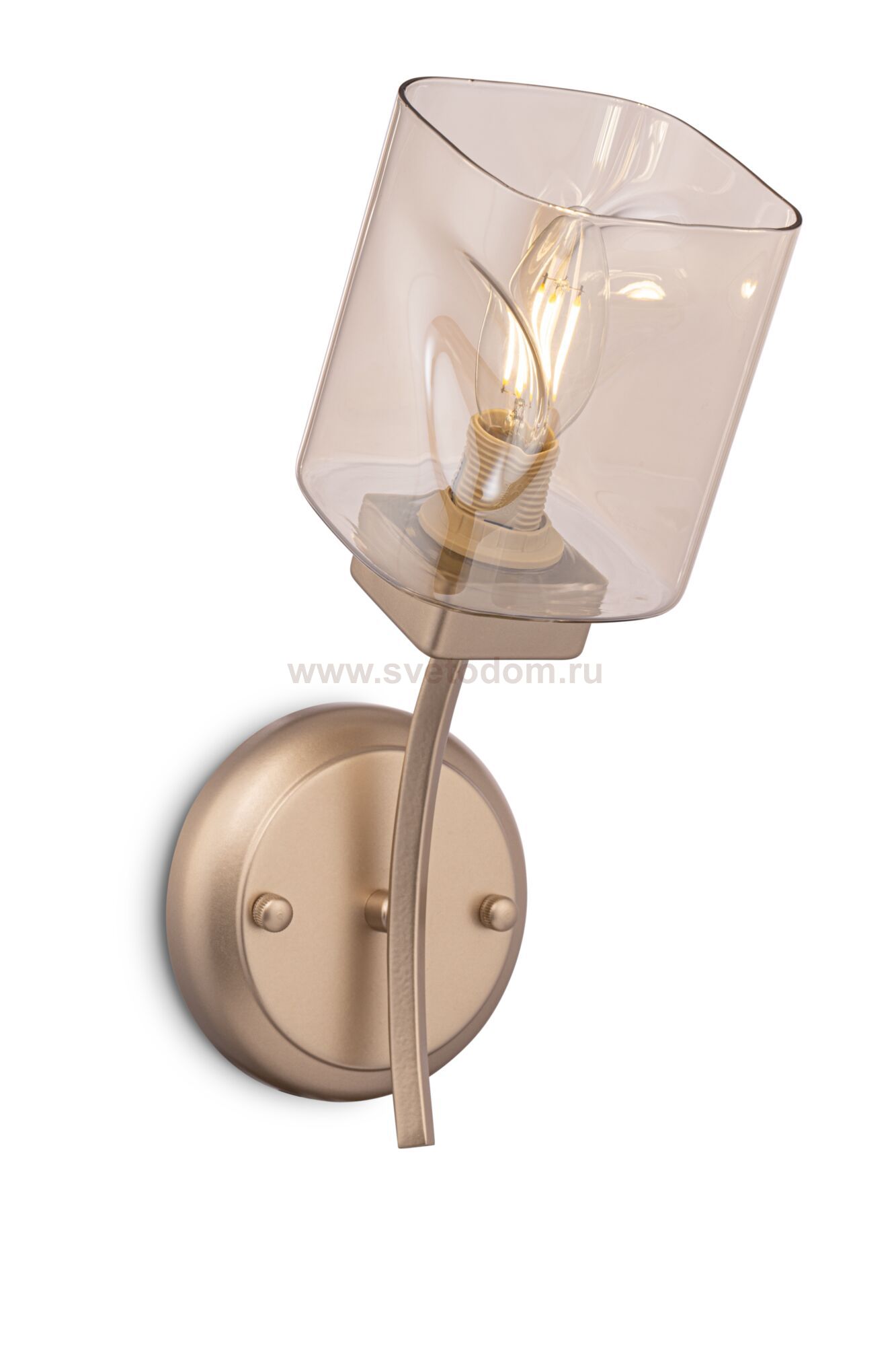 Настенный светильник бра Freya FR5095WL-01G Isabella