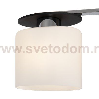 Люстра потолочная Freya FR5101-CL-03-CN Bice