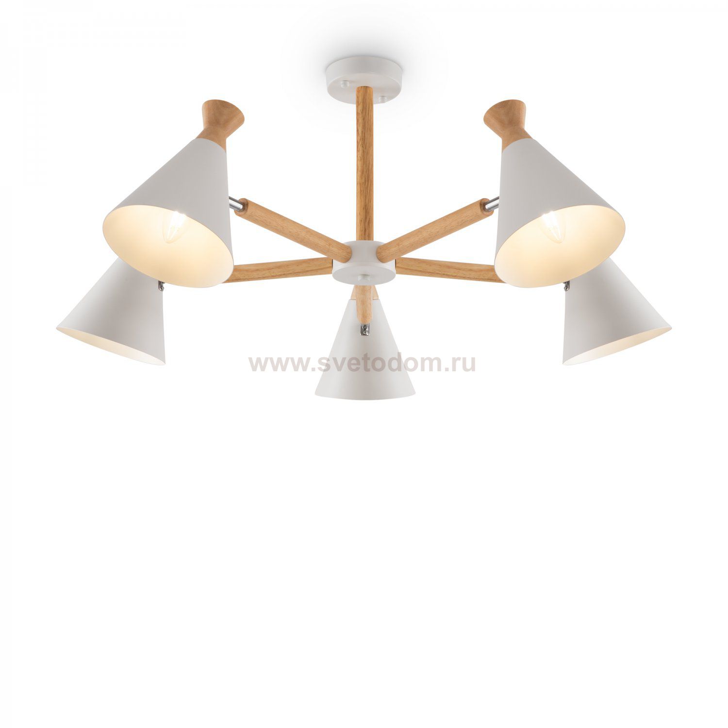 Люстра Freya FR5169PL-05W Rise