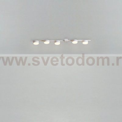 Потолочный светильник Freya FR5182CL-05W
